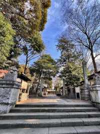 【埼玉浦和】ウサギがお出迎えしてくれる調神社✨