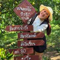 สวนดอกไม้ ป้างฮวา&สวนส้ม