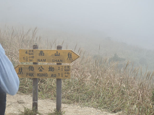 Into the Mist: The Enchanting Hike Up Sunset Peak