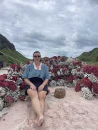 A Visit to Pink Beach on Padar Island: A Must-See Wonder! 🏖️🌸