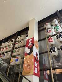 Discover the Charm of Akita Airport