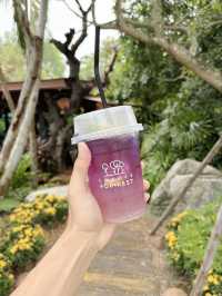 คาเฟ่ที่ฉะเชิงเทราทำถึง เอาน้ำตกวางไว้กลางคาเฟ่!!!