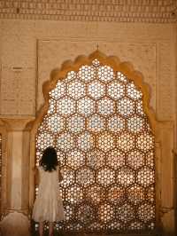 Colors of Agra Fort