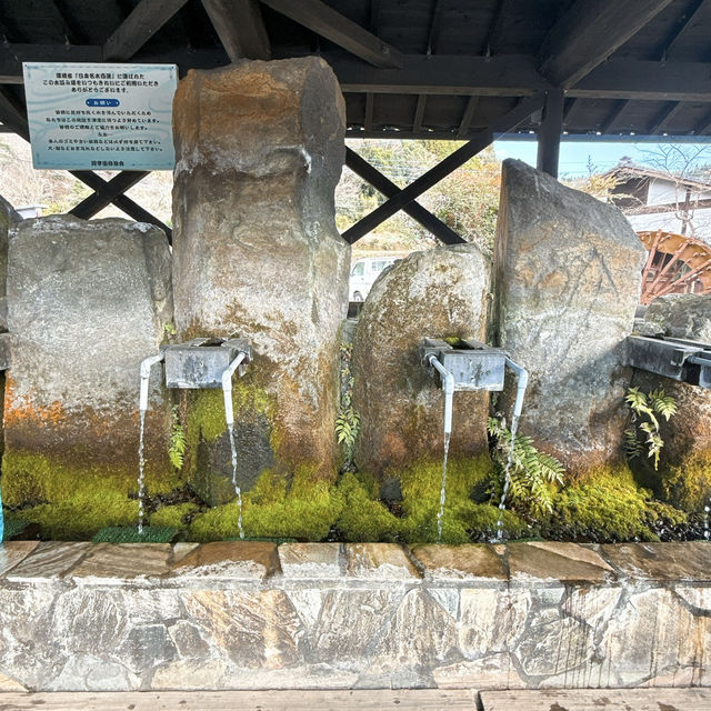 【竹田】日本名水百選✨水質抜群の湧水✨