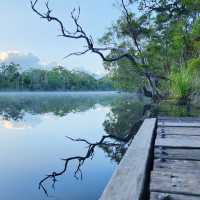 An Epic Adventure on the Cooloola Great Walk 🇦🇺