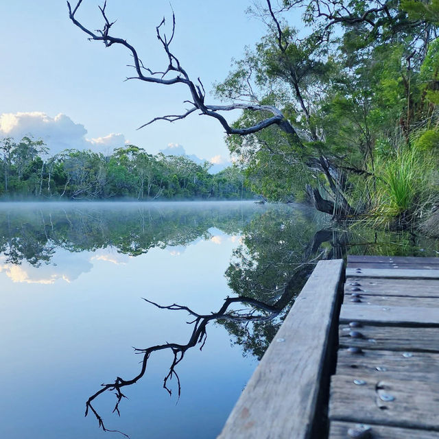 An Epic Adventure on the Cooloola Great Walk 🇦🇺
