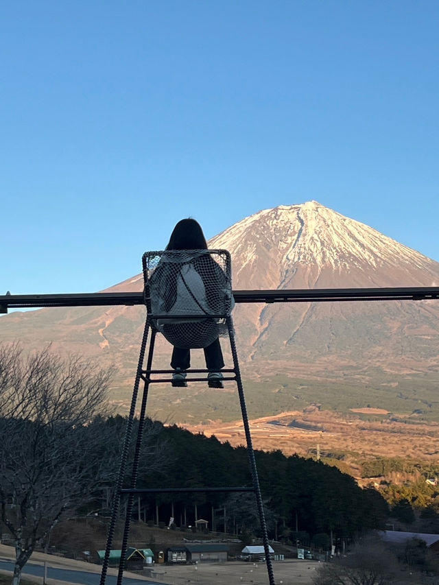 후지산 포토스팟, 죽음의숲 등 리뷰 🗻