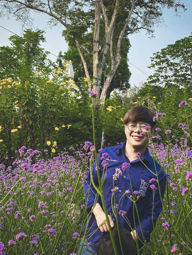 สวนแม่ฟ้าหลวง 