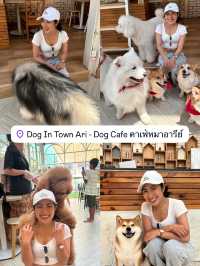 5 คาเฟ่ ถ่ายรูปสวย อาหารอร่อย