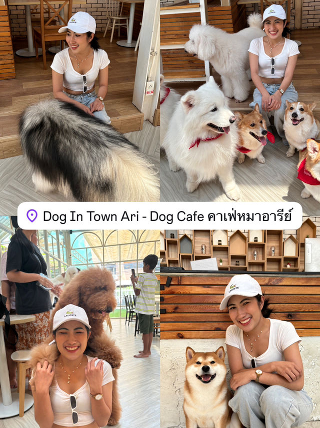 5 คาเฟ่ ถ่ายรูปสวย อาหารอร่อย