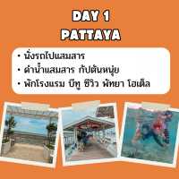 แจก แพลน เที่ยวดำน้ำแสมสาร 2 วัน 1 คืน