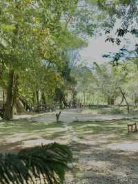 คาเฟ่สวย บรรยากาศดี ดอยสะเก็ด เชียงใหม่