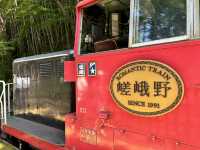 【京都：トロッコ列車】トロッコ列車で保津峡を渡る四季の風物詩🎐