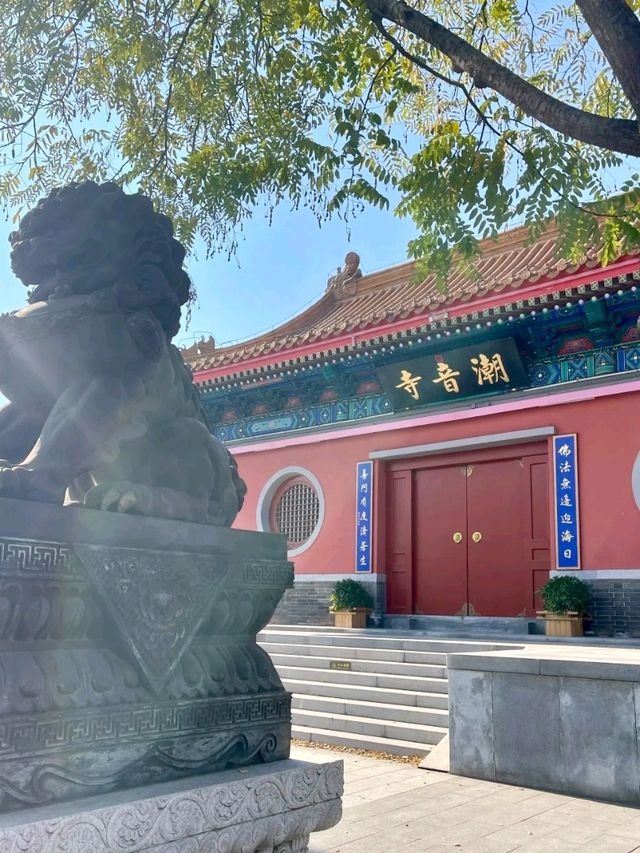 Chaoyin Temple: Formerly Known as Leshan Hall