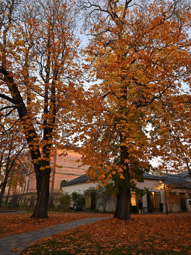 แพลนเดินเล่นเมือง Oslo,Norway 2 วันแบบชิวๆ 