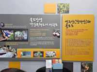 서복전시관&서복공원