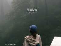 กิ่วแม่ปานในวันที่หมอกหนา 