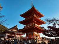 Itinerary 11 Days in Japan