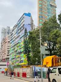 ［香港旅遊］通菜街🧺、花園街🌸、金魚街🐟-最具港風的市井街道🇭🇰體驗香港的人間煙火💯