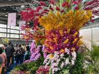 台南後壁-亞太蘭花會議暨台灣國際蘭展 Orchid Show 