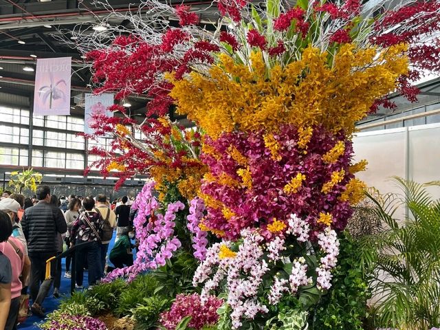 台南後壁-亞太蘭花會議暨台灣國際蘭展 Orchid Show 