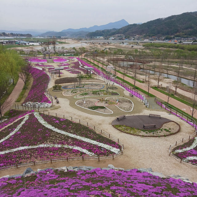 "숨은 보석 같은 거창 창포원, 자연을 만나다"