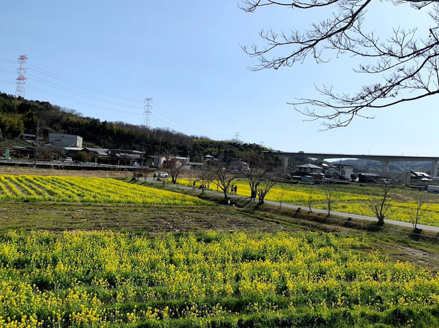 Kanshin-ji Temple