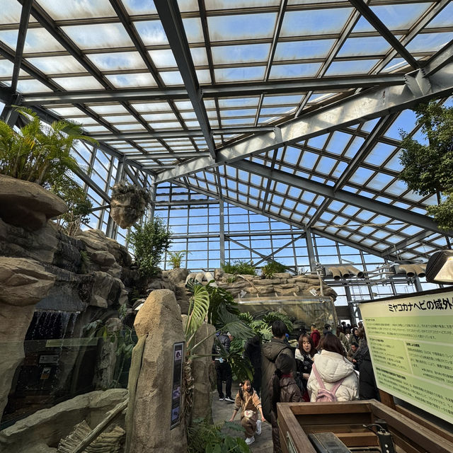 水族館好きな人は絶対に人生で1度は行くべき！色んな動物に出会える鳥羽水族館🥳💖