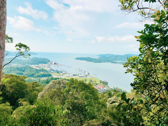 Hiking Bukit Ungku Busu in Spring!