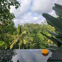 A serene and calm getaway