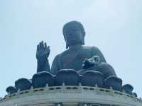 Ngong Ping Big Buddha & Po Lin Monastery: A Tranquil Escape
