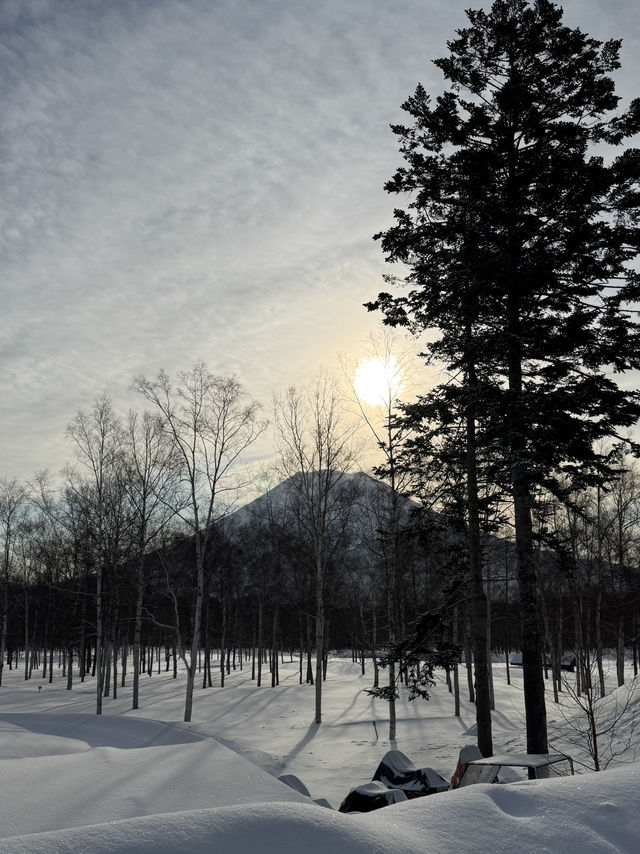 Niseko 2 Days Itinerary