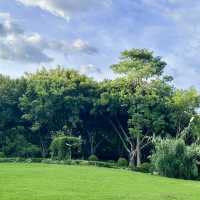 金灣濕地公園～自然的秘境