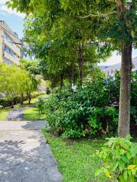 “Blooming Spring Park in Kajang”
