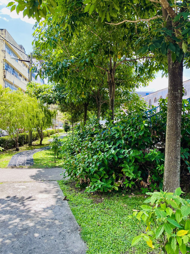 “Blooming Spring Park in Kajang”