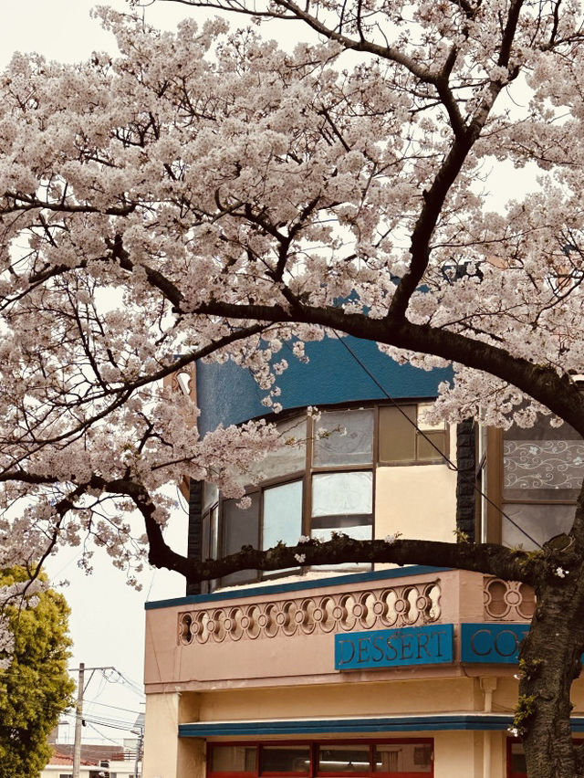 A Perfect Spot for a Romantic Spring Date!