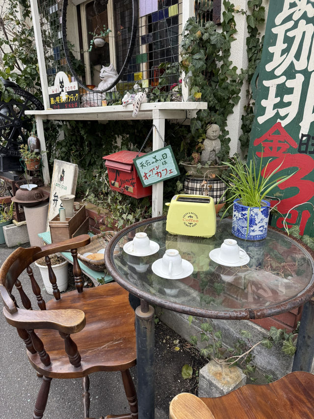 【北九州カフェ】猫が天井を歩く!?知る人ぞ知るレトロな喫茶店☕️