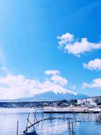 ［東京旅遊］山中湖-我最愛的富士山周圍景點🦢如果山中湖跟河口湖只能擇一的話，個人非常推薦山中湖喔🩵！