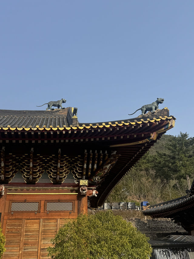 날씨가 따뜻해지는 지금 부산 근교 가볼만한 곳! 