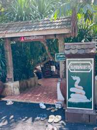 ม่อนกุเวร 1สถานที่ขอพรศักดิ์สิทธิ์ของชาวเชียงใหม่!
