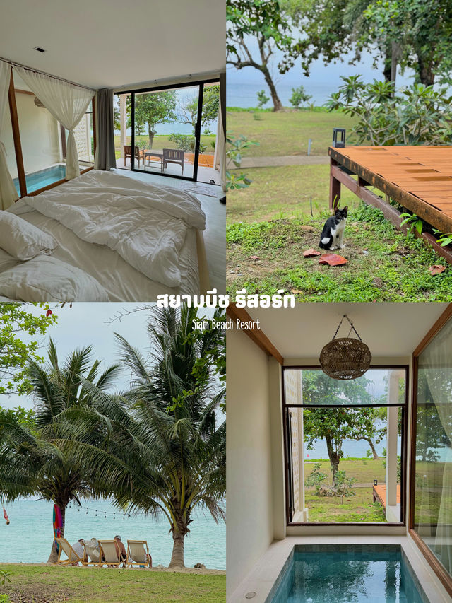 11 พิกัดเที่ยวเกาะช้าง จ.ตราด ⛰️🌦️🌳🏝️