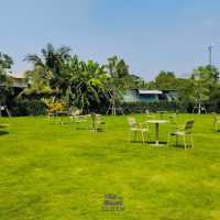 💢 บรรยากาศดี Curvy Dining