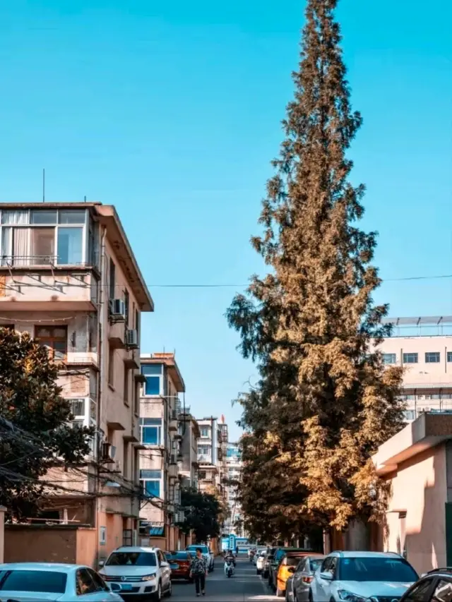 하이마 로드: 최고의 아침 식사 거리