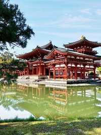 Spring Day Trip to Byodo-in Temple (Uji City)
