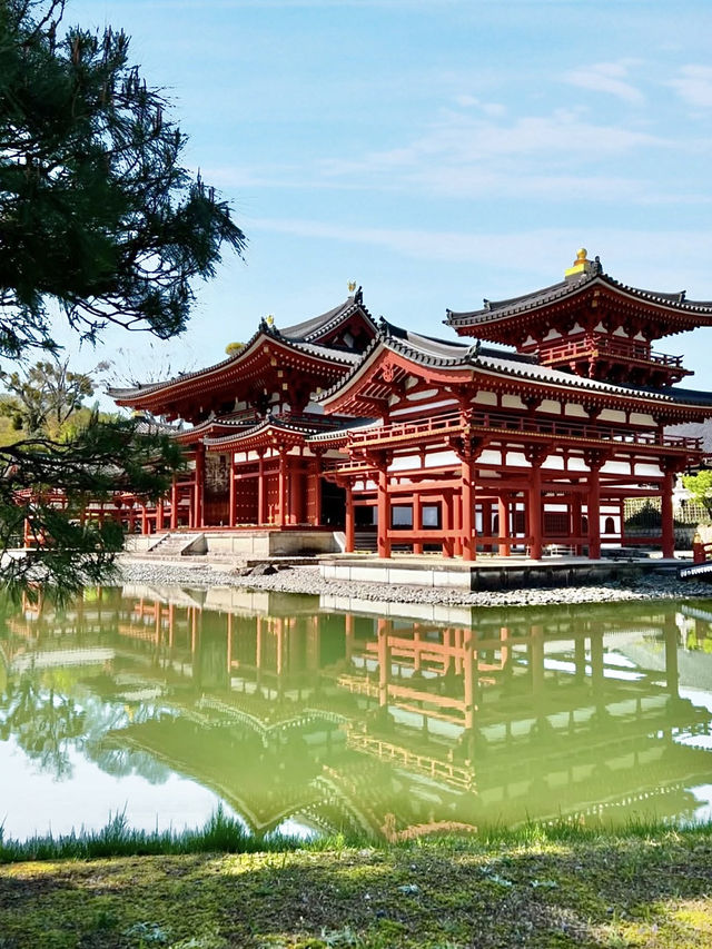 Spring Day Trip to Byodo-in Temple (Uji City)
