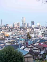 上星川スナップ 📷🏙️ 穴場のフォトジェニックスポット