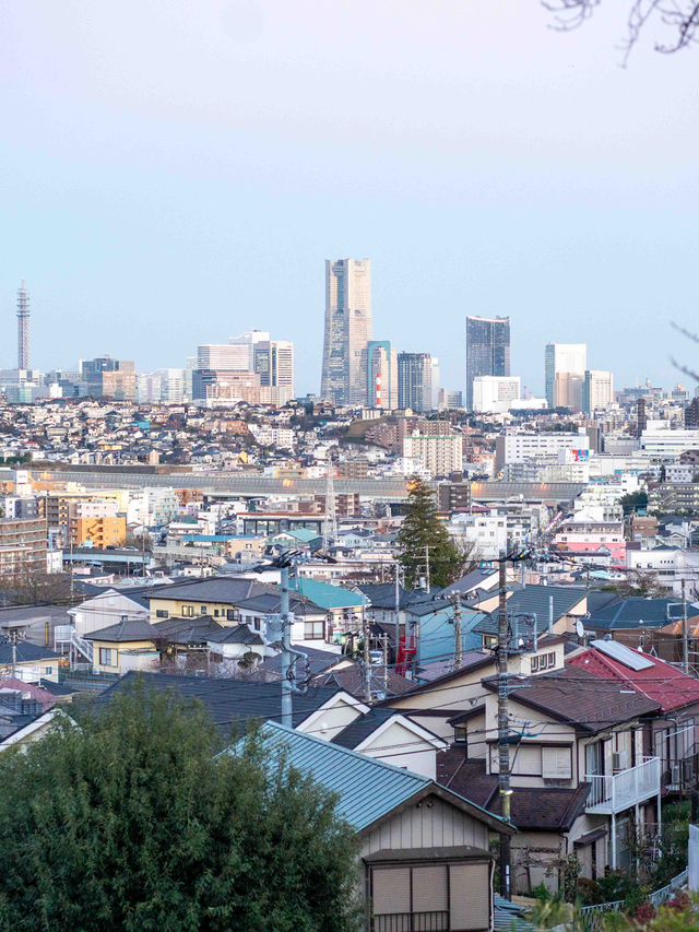 上星川スナップ 📷🏙️ 穴場のフォトジェニックスポット