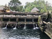 【バリ島】ティルタ ウンプル寺院 観光ガイド