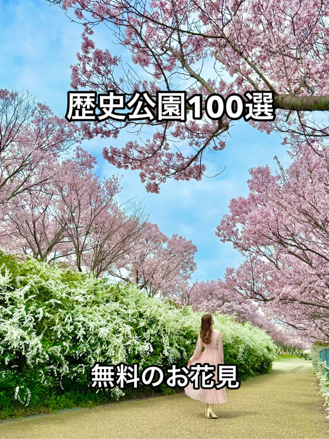 大阪 ❤︎ 長期間お花見ができる無料スポット🌸