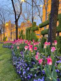 𝑺𝒉𝒂𝒏𝒈 𝑯𝒂𝒊 (上海) 🌷The Bund x ดอกทิวลิป
